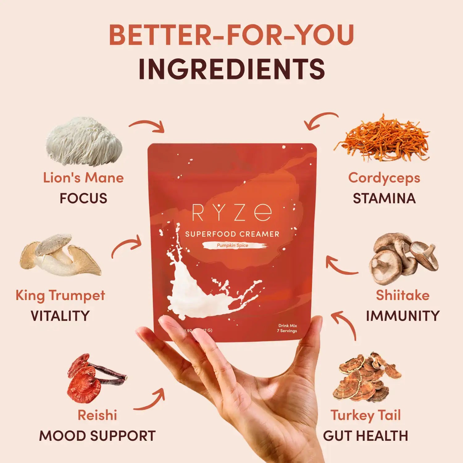 Pumpkin Spice Superfood Creamer Add-On (SPECIAL PRICING) A4 Mg